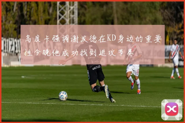 乌度卡强调谢泼德在KD身边的重要性今晚他成功找到进攻节奏