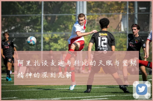 阿里扎谈麦迪与科比的天赋与坚韧精神的深刻见解
