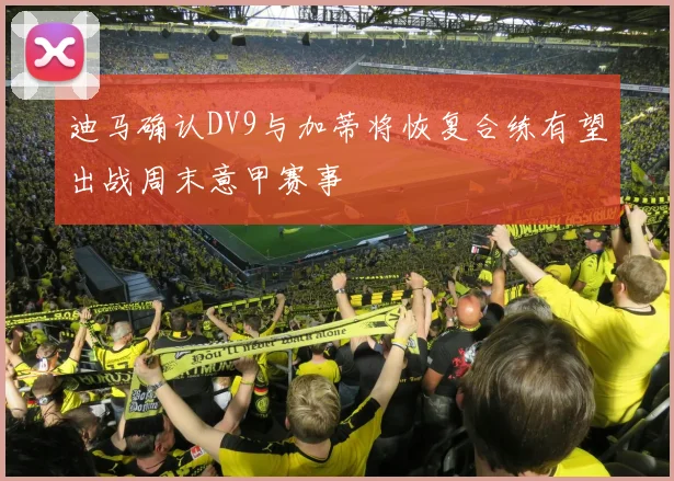 迪马确认DV9与加蒂将恢复合练有望出战周末意甲赛事