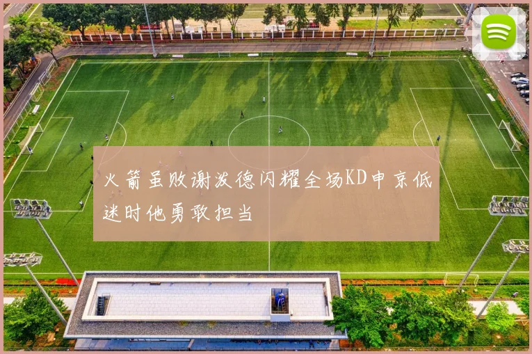 火箭虽败谢泼德闪耀全场KD申京低迷时他勇敢担当