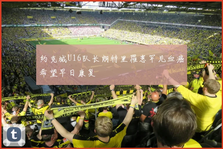 约克城U16队长朗特里罹患罕见血癌希望早日康复